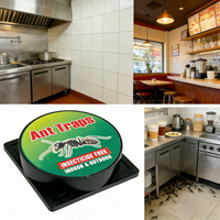 Lot de 3 Pièges à Fourmis Solides et Inodores, Écologiques, Design Compact pour Restaurants, Cafés, Hôtels, Fruitsiers, Discrets