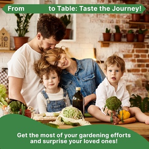 Bộ gói rau củ cải không phải là GMO là một túi 3.75g và dễ trồng trong vườn rau của bạn - Product Image 4