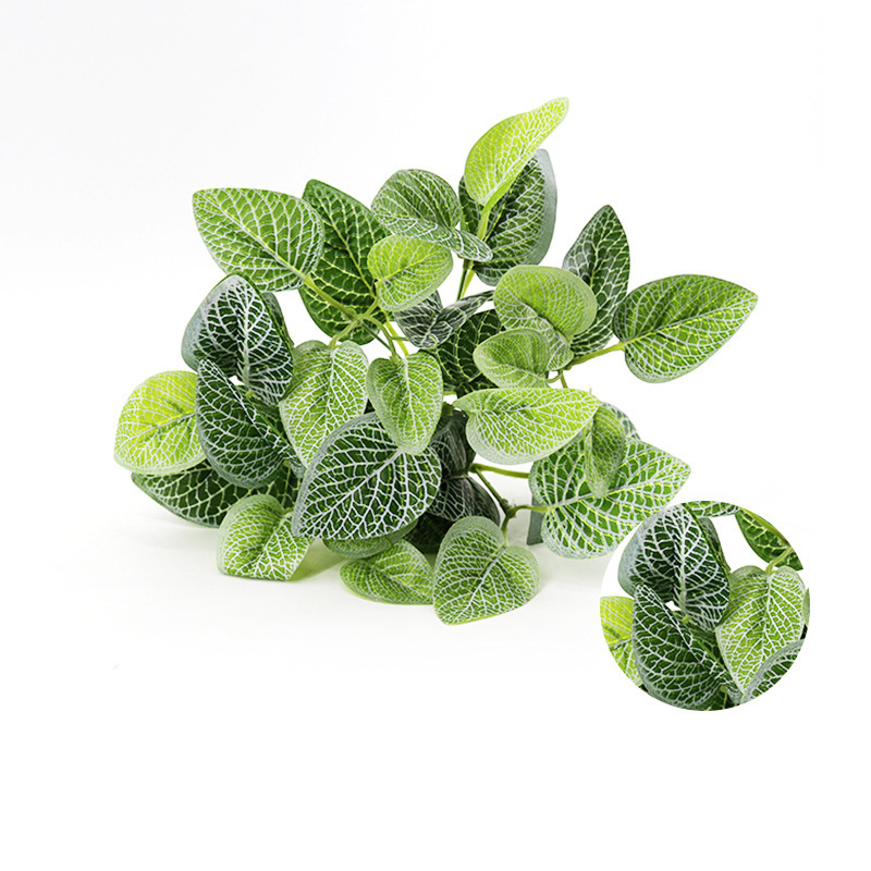 White-Net Vein Leaf