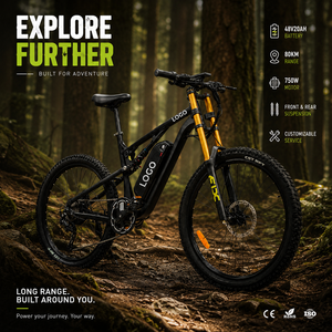 Vélo de montagne personnalisé avec logo, 27,5 pouces, 750W, 48V, 20Ah, 80km, aluminium, vente en gros, DH420, vélo de montagne à double moteur DH420 DH420 - Product Image 4