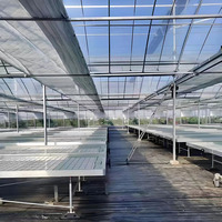 Système hydroponique intelligent pour serre avec irrigation automatique, table mobile roulante à flux et reflux pour semis, agriculture intelligente