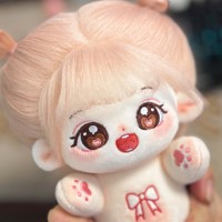 Peluche personnalisée Kpop de 20 cm en gros – Doudou super doux brodé, cadeau d'anniversaire
