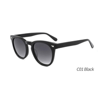 Lunettes de soleil rondes rétro 2026n en acétate UV400 avec logo personnalisé pour hommes – Qualité supérieure, luxe, vente en gros