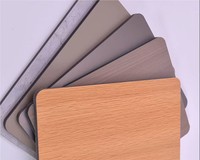Panel de Cristal de Carbono Impermeable de Gran Formato 1220x2440mm, Textura de Piedra 3D, Acabado Interior sin Juntas, para Comercios y Villas de Alta Gama