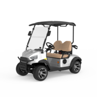 Voiturette de golf électrique professionnelle personnalisée avec logo et accessoires couleur, nouveau modèle, autonomie de 60-80 miles, pour 2 personnes, idéale pour les communautés résidentielles
