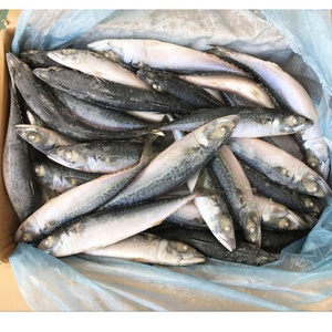 Giá tốt nhất bán trên đông lạnh toàn bộ Thái Bình Dương Cá Thu cá Tên khoa học scomber japonicus Chất lượng cao Cá - Product Image 5