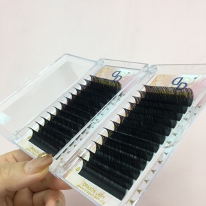 Velvet 0.03 0.05 0.07 Matte Dark Mega Volume Professional Lash Extensions Trays Custom Private Logo Box Package for Eye Makeup - Product Image 1