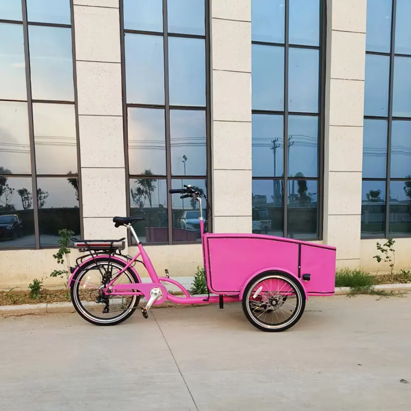 Triciclo elettrico del motociclo della ruota del trike 3 del carico di consegna di nuovo colore per gli adulti