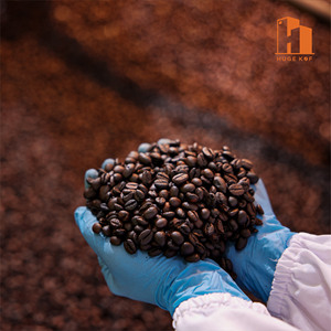 Marque privée La plus forte marque d'espresso brassée à froid OEM offre en gros de grains de café rôti foncé robusta torréfié à haute teneur en caféine - Product Image 5
