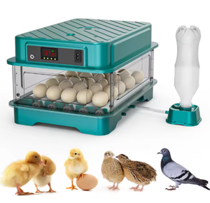 Incubadora Doméstica para Incubación a Gran Escala, Monitoreo Inteligente y Ajuste en Tiempo <span class=keywords><strong>Real</strong></span>, Funcionamiento Estable y Sin Problemas - Product Image 5