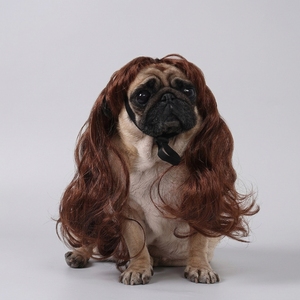 Perruque pour animaux de compagnie HLC couleur blond et rose avec frange complète, longue perruque ondulée bouclée pour animaux, perruques de costume pour fêtes et festivals pour animaux de compagnie - Product Image 6