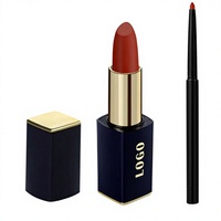 Rouge à lèvres liquide minéral mat de marque privée, certifié CE, 4g, vente en gros, logo personnalisé, fabricant OEM ODM, longue tenue