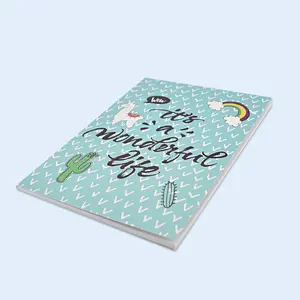 China factory custom printing saddle-stitch softcover notebook/ exercise book