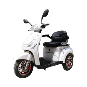EVERBRIGHT EEC COC Certifié 48V Tricycle à pédales à trois roues Moto électrique pour adultes Handicapés Carrosserie ouverte Motorisée - Product Image 4