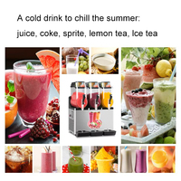 220V-240V/110-115V fabricant boutique boisson congelée jus de fruits frais neige Smoothie Maker Machine pour hôtels et restaurants
