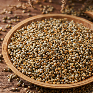 Récolte de bajra, céréales de qualité supérieure - Product Image 1
