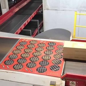 עיצוב מקורי luhui sterable גל נדנדה גלגל ציר sorter ציר איזון חומר טיפול ציוד מצב חדש מסוע - Product Image 3