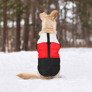 Manteau sans manches pour petits et grands chiens, veste chaude coupe-vent par temps froid, vêtements d'hiver, costume pour chien - Product Image 4
