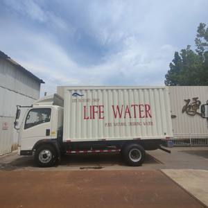 Camionetas de Carga Ligera de Segunda Mano en Buen Estado, Marca China, Camionetas con Caja - Product Image 4