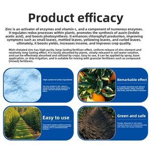 Phân bón lá kẽm <span class=keywords><strong>EDTA</strong></span> chelate độ tinh khiết cao Mishi 33% dạng bột, tan nhanh trong nước, dùng cho cây trồng - Product Image 5