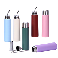 Bouteille d'eau multifonctionnelle 3-en-1 Beauchy sans BPA pour Yerba Maté, 500 ml, isotherme à double paroi avec filtre à thé et paille