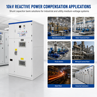 Banco de Condensadores Equipado con Reactor TBB 10kV 1800kvar para Cargas Armónicas en Plantas Mineras y de Cemento