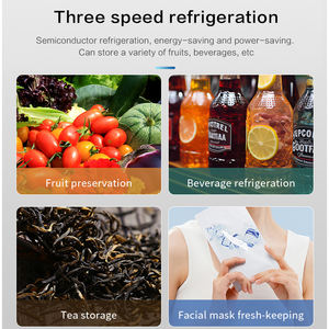 <span class=keywords><strong>Mini</strong></span>-réfrigérateur portable électrique sans givre <span class=keywords><strong>de</strong></span> 40 litres avec logo personnalisé pour hôtel – Prix abordable - Product Image 6