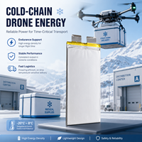 Baterai Drone 3.7V 52000mah 350wh/kg Sel Baterai Semi Solid State Densitas Energi Tinggi untuk Baterai Drone Lipo