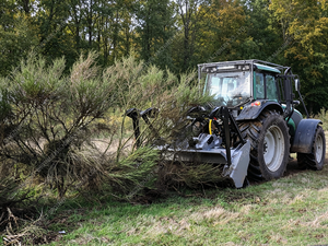 Broyeur forestier pour <span class=keywords><strong>tracteur</strong></span>, attache 3 points, broyeur à tambour monté pour le défrichement et la coupe de broussailles - Product Image 3