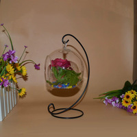 Boules décoratives en verre suspendues Terrarium pour plantes avec support en métal Boule suspendue en verre avec support en fer Décoration en gros