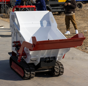 Запущен мини-роторный самосвал грузоподъемностью 500 кг и гусеничный самосвал. - Product Image 2