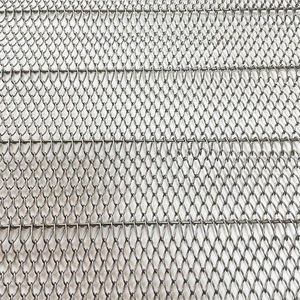 Kurutulmuş <span class=keywords><strong>mango</strong></span> için bariyerli 304 Paslanmaz Çelik/316 Paslanmaz Çelik Zincir Bağlantılı Konveyör Bantını özelleştirin - Product Image 4