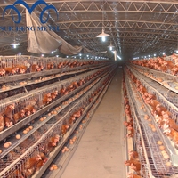 Cage à poulets de type 4, 128 à 160, pour élevage de volailles pondeuses, marché africain