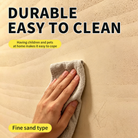 Peinture texturée effet terre battue, type sable fin, perméable à l'humidité, lavable, résistante aux rayures, pour mur d'accentuation domestique