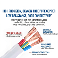Kabel Galaxy Terpilin 2 Inti 3 Inti Multi-Core Pipih Berisolasi PVC Berlapis Selubung 1.5mm2 2.5mm2 4mm2 Kabel Pipih Kembar