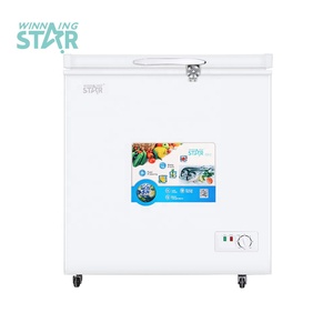 WINNING STAR BG-449 Congélateur d'Exposition à Énergie <span class=keywords><strong>Solaire</strong></span> à Compresseur DC AC240V/DC12V 125L Réfrigérateur Congélateur à Compression Profonde - Product Image 2