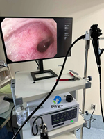 Système d'endoscopie vétérinaire EURVET 8,0 mm avec gastroscope CMOS, accessoires, moniteur, chariot et pompe d'aspiration