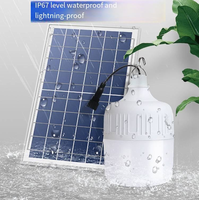 Ampoule solaire étanche IP65 rechargeable pour jardin, utilisation extérieure/intérieure d'urgence, lumière blanche 6000K, 100 lumens, petite taille