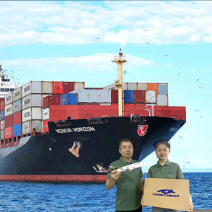 Дешевые воздушные/морские грузовые услуги тарифы на доставку FBA экспедитор из Китая в США/Европу/логистический агент по всему миру - Product Image 5