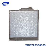 Radiador de Refrigeración del Motor para Camión WG9725530903 para SINOTRUK Golden Prince, Piezas de Repuesto para el Sistema de Refrigeración del Motor Diésel