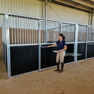 Box per Cavalli Moderno in Pannelli PE Facili da Pulire, Stalla Equestre Verniciata <span class=keywords><strong>a</strong></span> Polvere, Alloggio per Cavalli per Ranch - Product Image 3