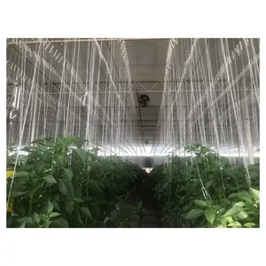 Vegetable Substrate Trough Gutter Hydroponic Growing System For Greenhouse