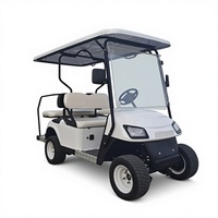 Voiturette de golf électrique haut de gamme 7-8 places, batterie lithium 48V, commande intelligente, vitesse 50-70 km/h, autonomie 70-90 km, poids à vide 300-400 kg