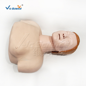 Mannequin <span class=keywords><strong>de</strong></span> formation RCP demi-corps en PVC taille réelle, section transversale intercostale 6e niveau, pour l'enseignement médical CE ISO ROHS CNAS - Product Image 5