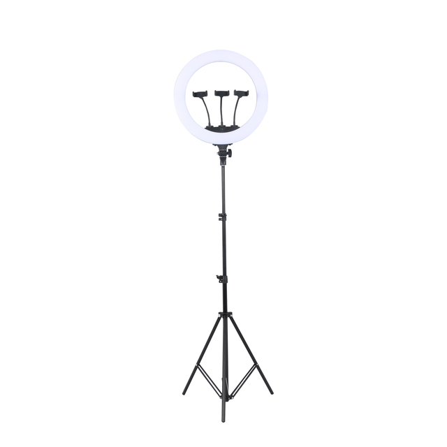 Accuracy Pro Audio BK416 18'' Inch 65W Led Lamp Video Ring Light With Tripod Stand and Phone Holder