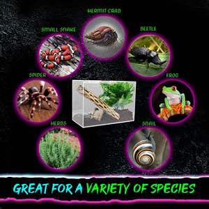 Özel sürüngen teraryum W/sürgülü manyetik kapı akrilik Terrarium Tarantula muhafaza akrilik kafes - Product Image 4