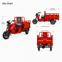 Tricycle cargo à essence 110CC-150CC, refroidissement par eau, quatre temps, moto à trois roues, capacité de charge de 500 kg pour le transport agricole en Afrique