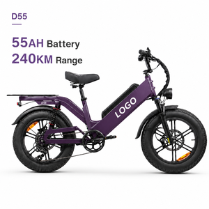 จักรยานส่งของไฟฟ้า OEM Custom D55 ขนาด 20 นิ้ว ยางใหญ่ 750W 48V55Ah ระยะทางไกล 240 กม. จักรยานบรรทุกสินค้า OEM ขายส่ง - Product Image 1