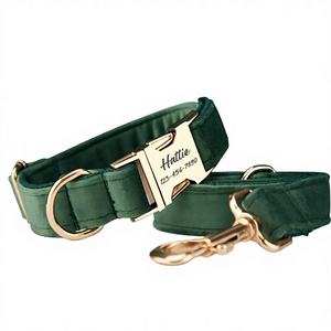 Forest Veet – collier personnalisé pour chien, ensemble laisse et nœud papillon, gravure personnalisée du nom de l'animal, boucle en métal, cadeau d'anniversaire pour chiot, livraison gratuite - Product Image 1