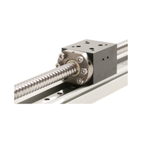 RXSN40 QRXQ Module synchrone de rail à vis de longueur personnalisable de haute précision avec roulement de noyau de servomoteur pas à pas à faible bruit